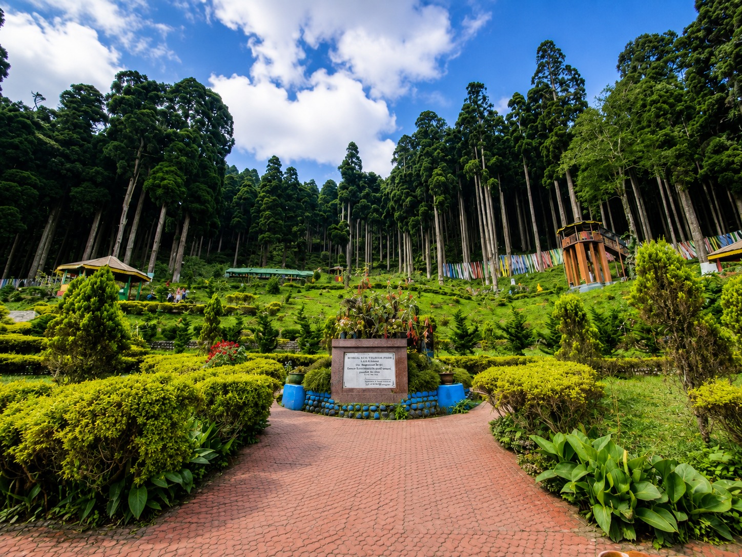 Lamahatta Darjeeling
