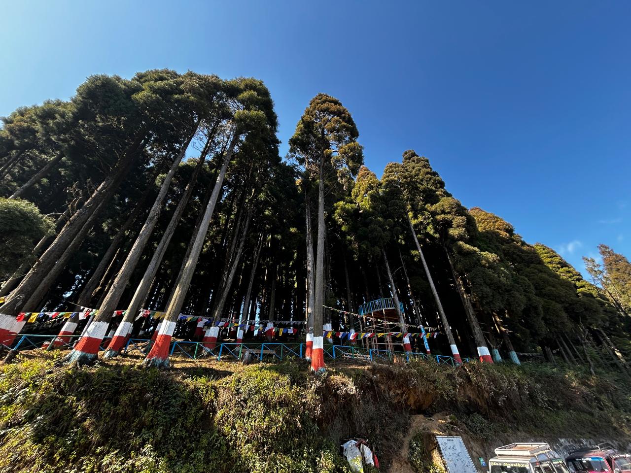 Kalimpong Landscape