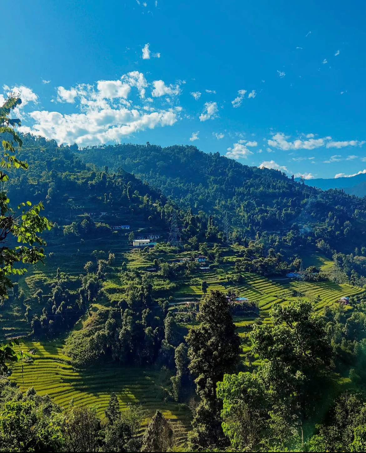 Pabong Kalimpong